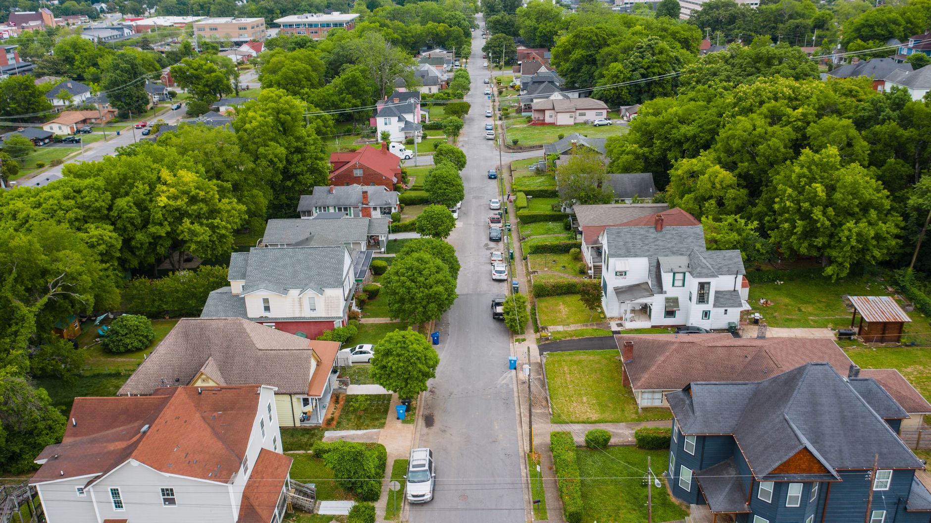 Neighborhood street with tree-lined residential homes